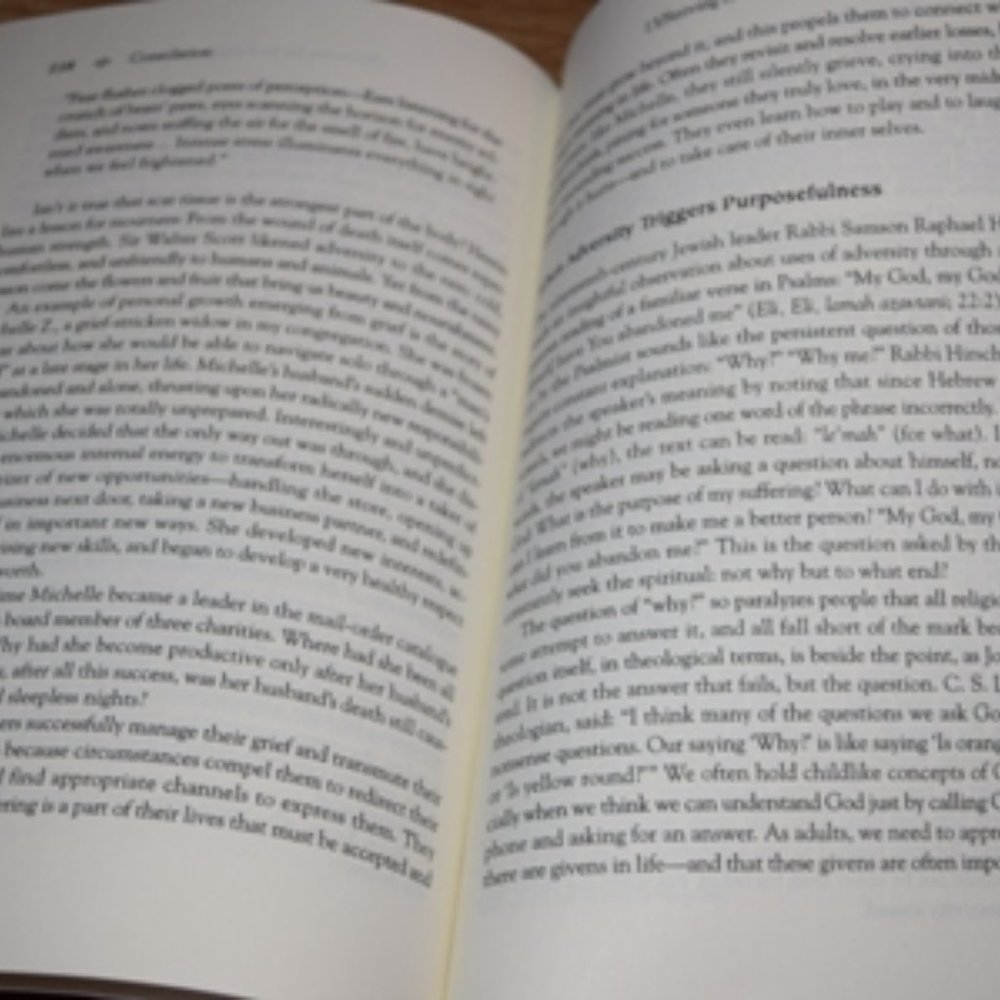 Grief Book - Picture 3 of 4
